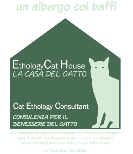 la-casa-del-gatto-home